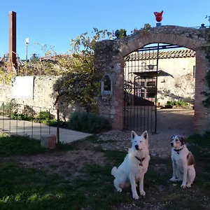 Mas Del Llop Blanc - Dog Friendly Rural - Spanje